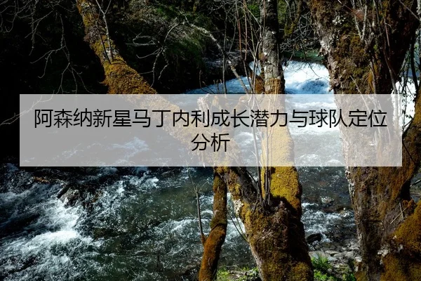 阿森纳新星马丁内利成长潜力与球队定位分析
